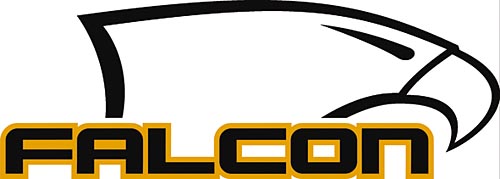 falcon_logow.jpg