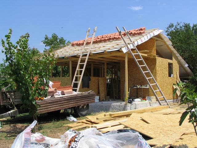 resize of depandansa 106.jpg