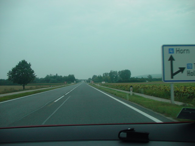 dsc02699_resize.jpg