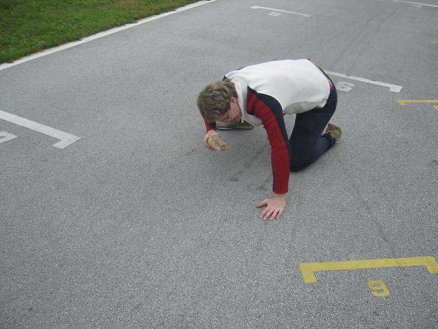 4226.jpg
