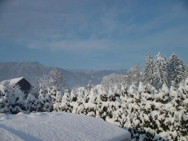 dsc03048_resize_resize.jpg