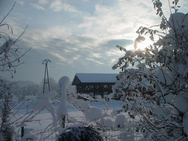 dsc03047_resize_resize.jpg