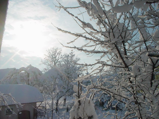 dsc03049_resize_resize.jpg