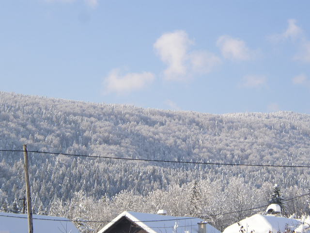 p1010146.jpg