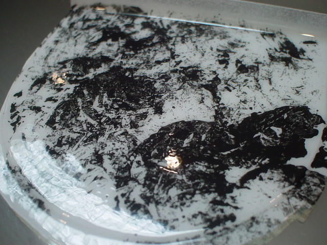 dsc03256_resize.jpg