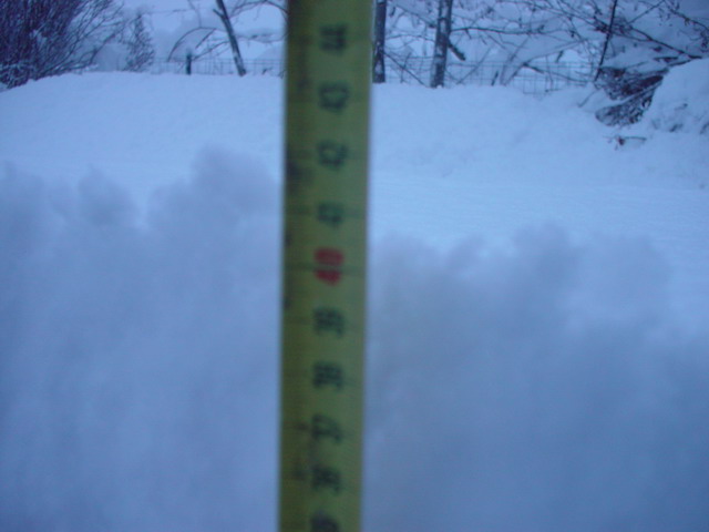 dsc03311.jpg
