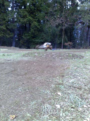 jump1.jpg