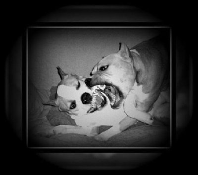 fotr in mat.jpg (42.06 KiB) Videno 945 krat fotr in mat.jpg