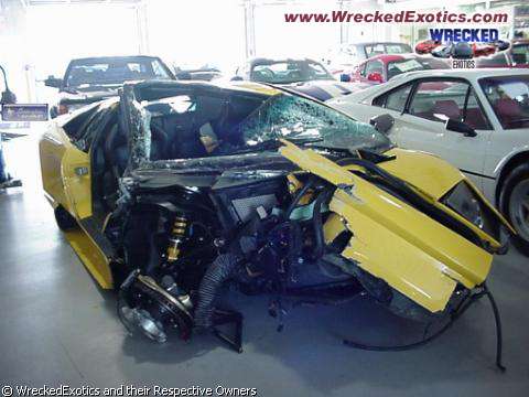 murcielago_140803_001.jpg