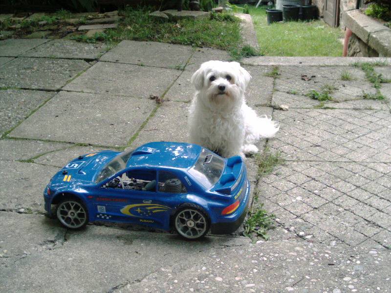 model.jpg