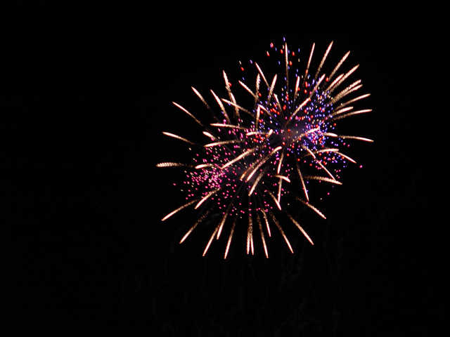 dsc01353.jpg