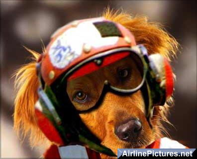 23flightcrew.jpg