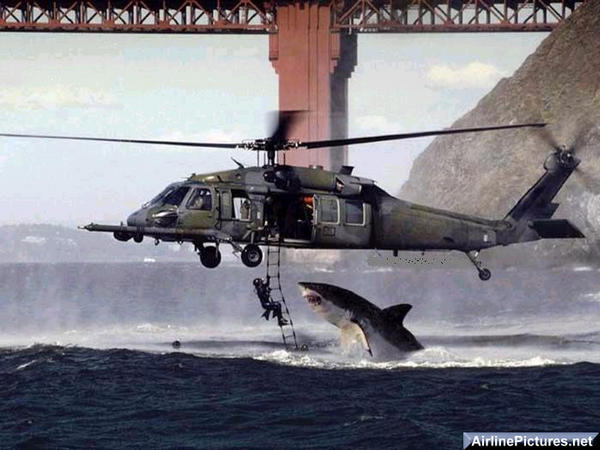 23jaws-med.jpg