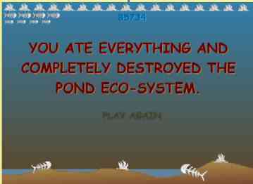 fish.jpg