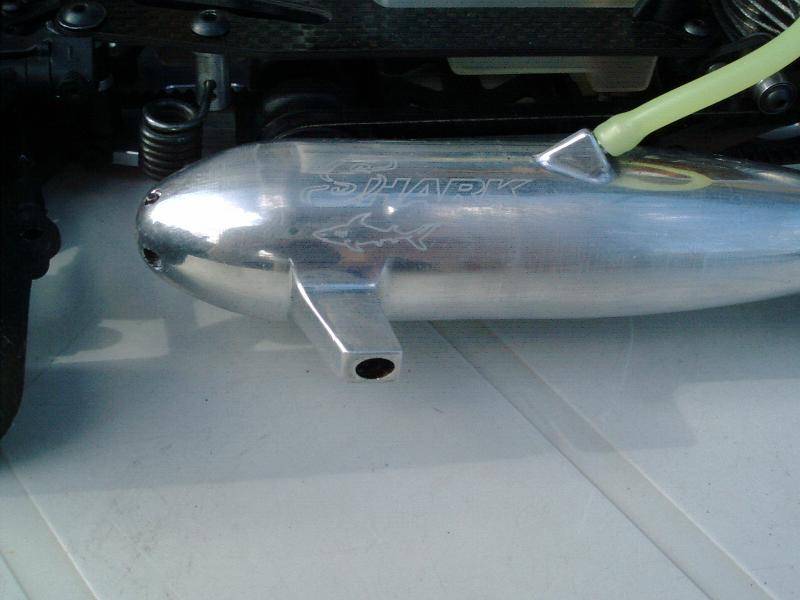 shark.jpg