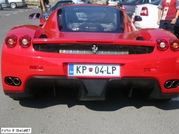 enzo2.jpg