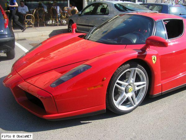 enzo1.jpg
