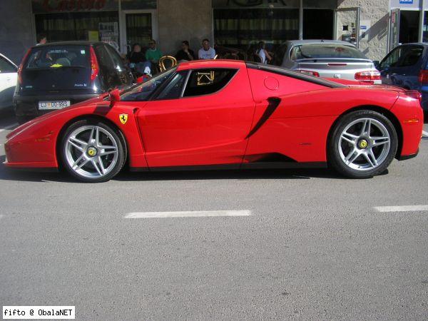 enzo.jpg