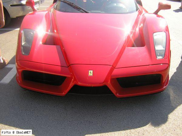 enzo3.jpg